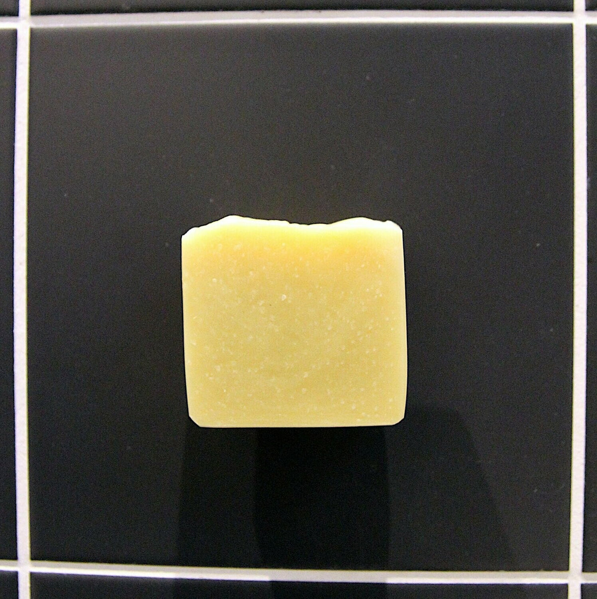 Seifenhalter Magnet 3