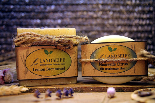 Set Lemon und Haarseife